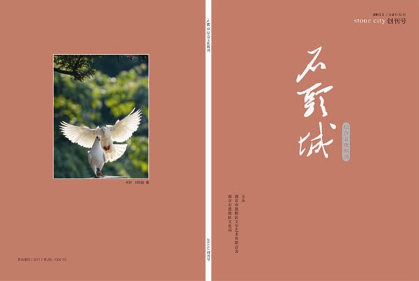综合文化期刊《石头城》创刊